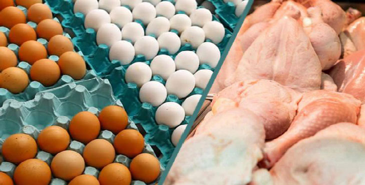ایران در تولید مرغ و تخم مرغ