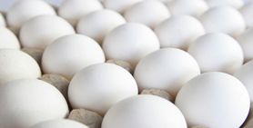 تخم مرغ 11 کیلوگرمی