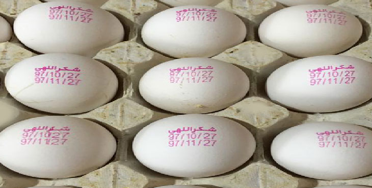 خرید تخم مرغ 11.400 الی 11.500 کیلویی