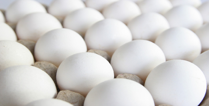 شهروندان از خرید تخم مرغ های فله و فاقد هویت خودداری کنند