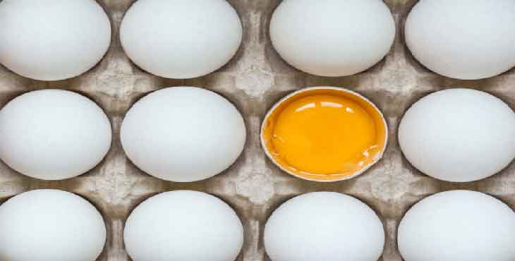 واردات تخم‌مرغ با مجوز وزارت صنعت