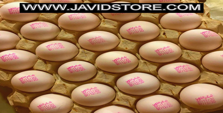 خرید و فروش تخم مرغ 11.8 الی 11.85 کیلویی