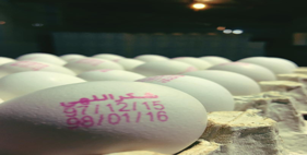 تخم مرغ 12 الی 12.100 کیلویی (روی باسکول)