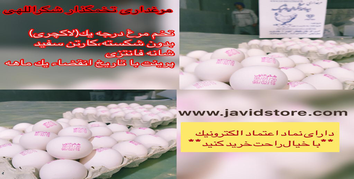 خرید و فروش تخم مرغ شکراللهی، وزن هر کارتن 11.700 الی 11.900 کیلوگرم