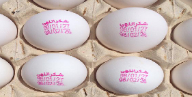 تخم مرغ 12 کیلوگرمی