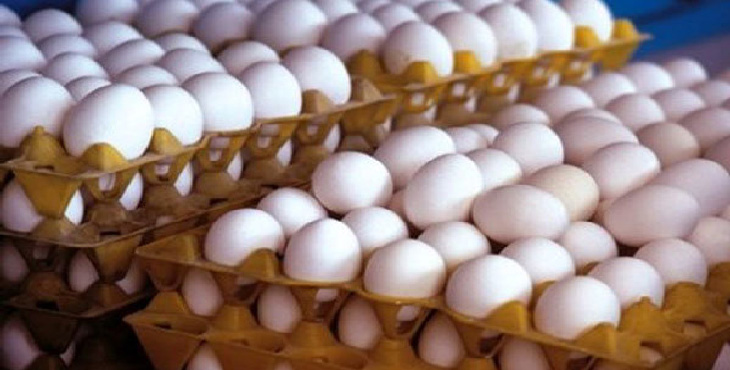 50 درصد تخم مرغ تولیدی خراسان جنوبی مازاد نیاز است
