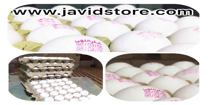 فروش عمده تخم مرغ به صورت آنلاین، تخم مرغ 12 کیلویی