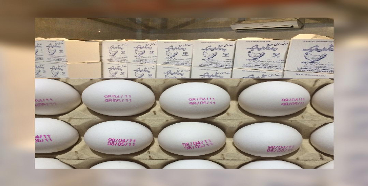 فروش تخم مرغ 12 الی 12.100 کیلویی