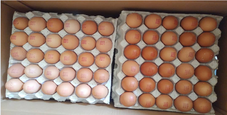 تخم مرغ صادراتی رسمی