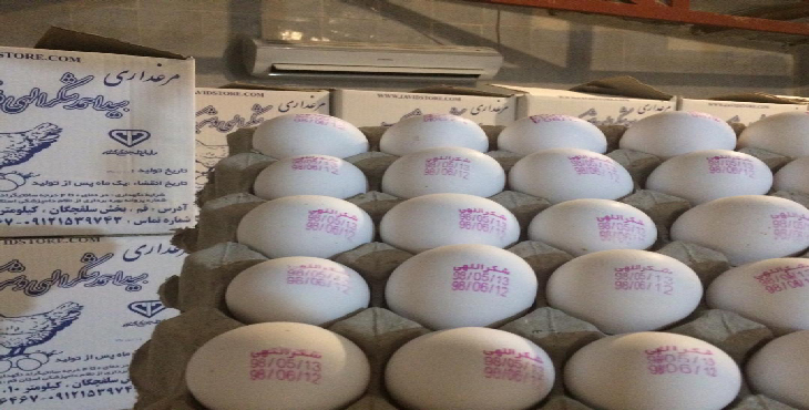 تخم مرغ درجه یک ،12 کیلویی