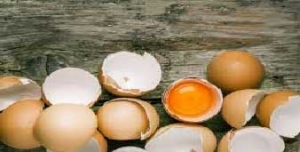 رنگدانه مرغ تخمگذار