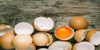خرید و فروش رنگدانه مرغ تخمگذار، رنگدانه Locantin