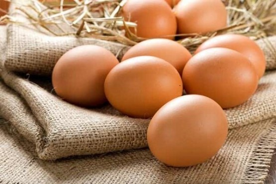 قیمت تخم‌مرغ در قزوین از نرخ ستاد تنظیم بازار پایین‌تر است