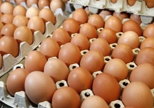 کشف ۲۷۰ تن تخم مرغ محلی تقلبی در آبیک
