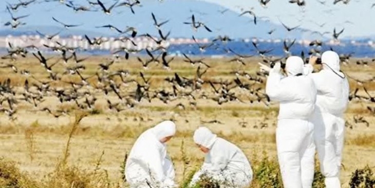 عدم مشاهده آنفلوآنزا فوق‌العاده حاد پرندگان در گیلان