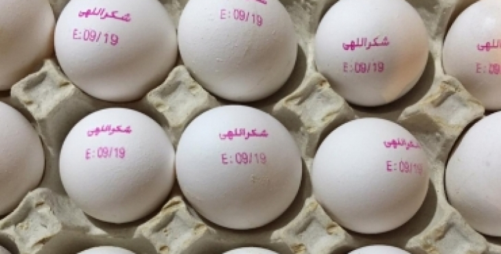تولید تخم مرغ به یک میلیون تن می‌رسد