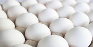 تخم مرغ ۱۲/۹۰۰ کیلوگرم- مخصوص کارخانجات