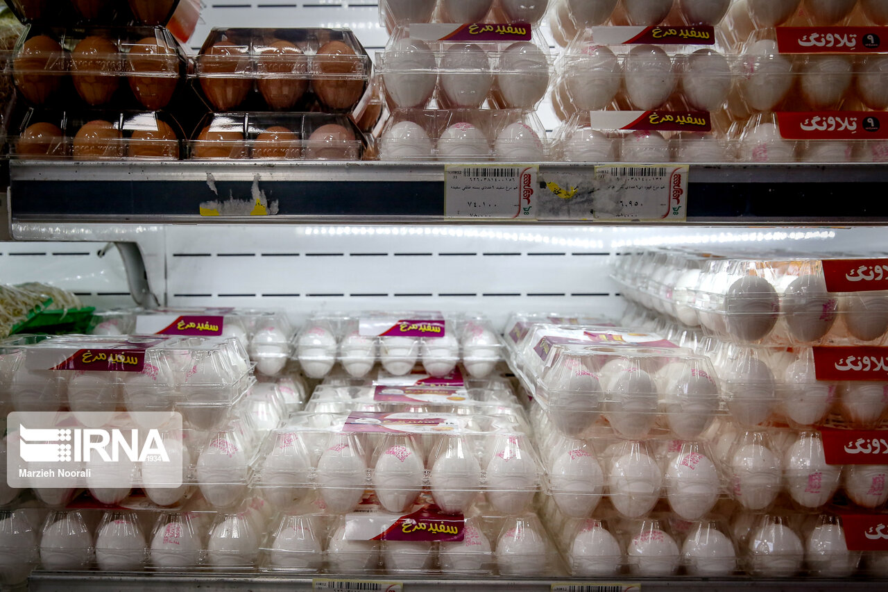 عرضه گسترده تخم‌مرغ در میادین و فروشگاه‌های زنجیره ای