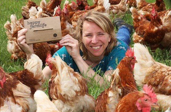 نکاتی درباره بازاریابی تخم مرغ در سراسر جهان