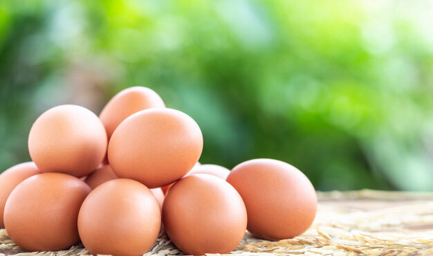 بازار تخم مرغ تعریفی ندارد؛ نرخ منطقی هر کیلو تخم مرغ ۱۱ هزار تومان