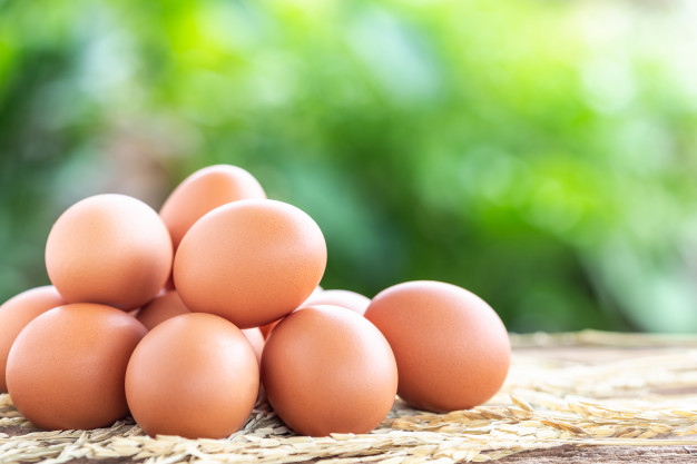 بازار تخم مرغ تعریفی ندارد؛ نرخ منطقی هر کیلو تخم مرغ ۱۱ هزار تومان