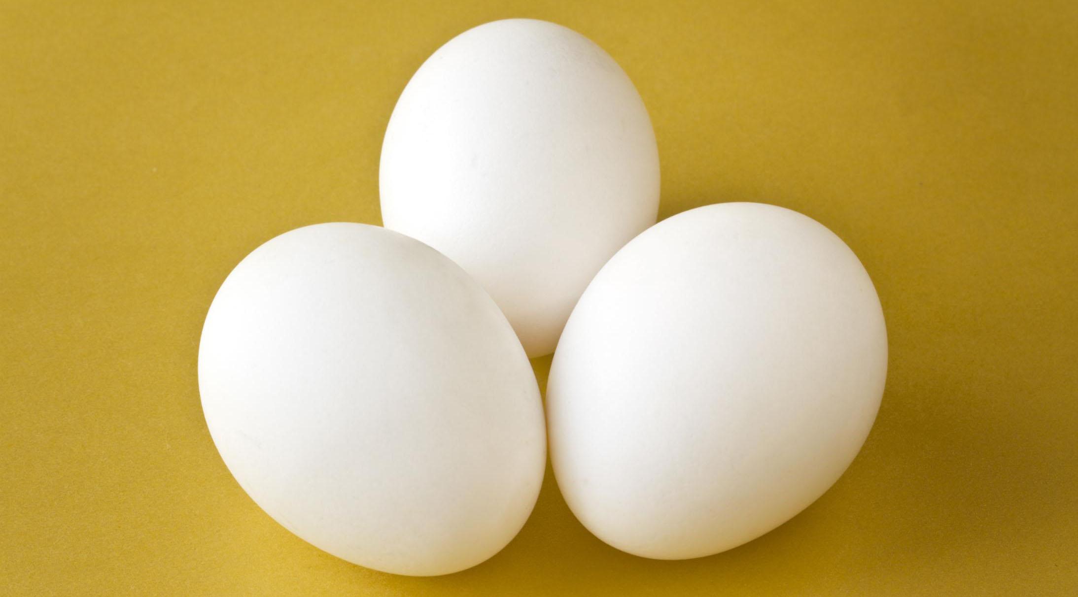 دست فروشان تخم مرغ در قزوین جمع آوری شدند