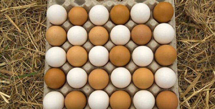 مدیرعامل اتحادیه سراسری مرغ تخم‌گذار: تخم‌مرغ ۳۰ هزار تومانی ناشی از هیجانات فضای مجازی است
