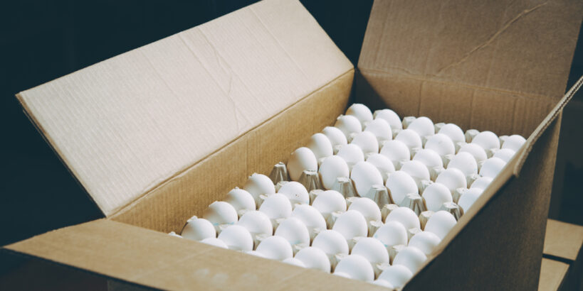 تخم مرغ صادراتی ویژه کشور افغانستان