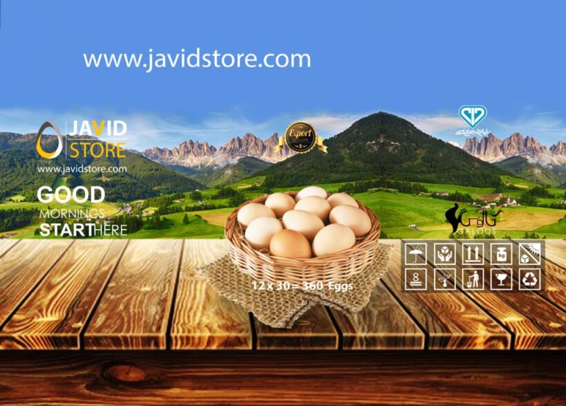 تخم مرغ صادراتی ویژه کشور قطر