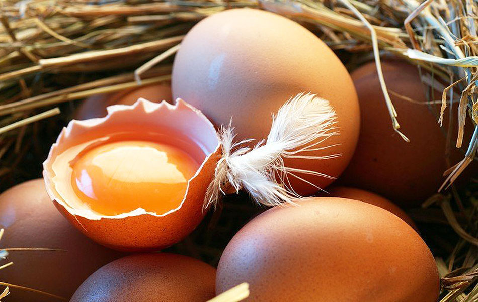 توقف صادرات تخم مرغ غیرکارشناسی است؛ صادرات تخم‌مرغ ارتباطی به التهاب بازار ندارد.