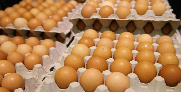 مجوز صادرات تخم مرغ صادر شد.