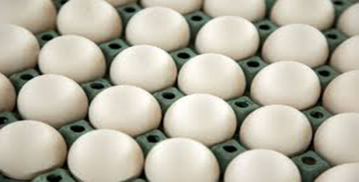اصلی‌ترین عامل افزایش نرخ تخم مرغ