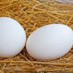 قیمت گذاری تخم مرغ تعیین تکلیف می شود