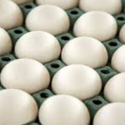 تولید حدود ۴۰ هزار تن تخم مرغ در گلستان