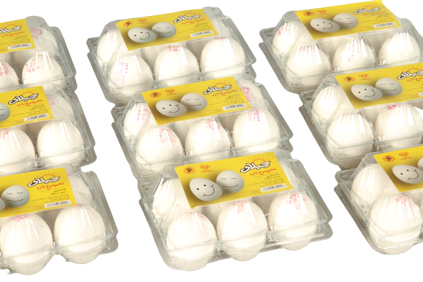 تخم مرغ بسته بندی 6 عددی چیلای سفید