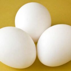 ۳هزار تومان ضرر در هر کیلوگرم تخم مرغ| ارز دولتی ذرت و سویا را حذف کنید