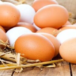 هر کیلوگرم تخم مرغ درب مرغداری چند؟