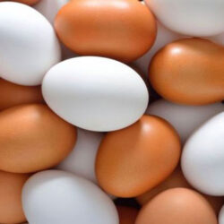 قیمت تخم‌مرغ باید هرچه سریع‌تر مطابق با بهای تمام‌شده این محصول برای تولیدکننده بازنگری شود تا شاهد ثبات این بازار در نیمه دوم سال باشیم.