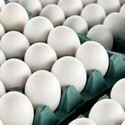 با توجه به اینکه تولید تخم مرغ در استان دو برابری نیاز است، دلیلی ندارد که گرانتر از قیمت مصوب به دست مردم برسد.