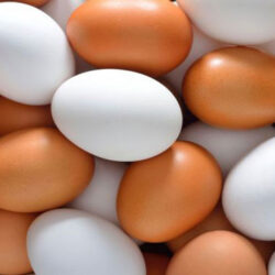 روزانه ۵۴۰ تا ۵۵۰ تن تخم مرغ در استان تهران توزیع می شود که مازاد بر نیاز مصرف است.