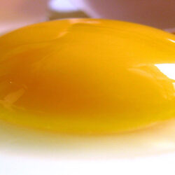 تولید تخم‌ مرغ در اصفهان ۲ برابر مصرف