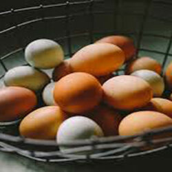 رئیس هیئت مدیره اتحادیه مرغ تخم گذار تهران گفت: طبق روال همه ساله قیمت تخم مرغ در شب عید به سبب نبود تقاضا افزایشی ندارد.