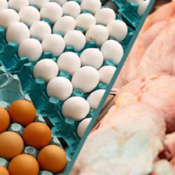 صادرات مرغ و تخم‌مرغ ایرانی با برند عراقی!