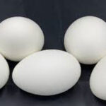 قیمت مصوب تخم مرغ در شهریور ماه اصلاح می‌ شود.