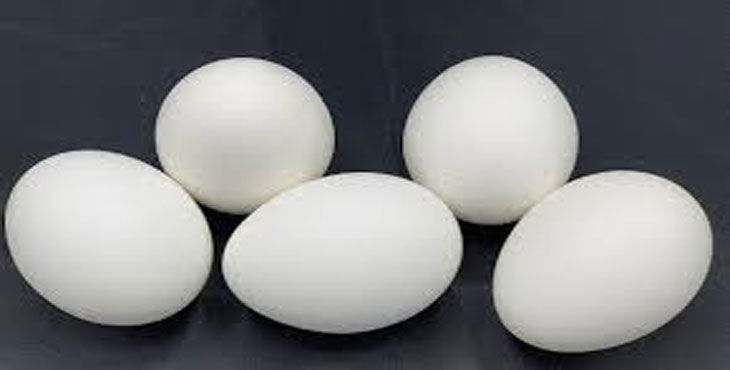 قیمت مصوب تخم مرغ در شهریور ماه اصلاح می‌ شود.