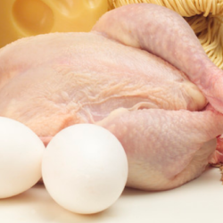تسریع در خرید تضمینی مرغ، گوشت و تخم مرغ از این هفته