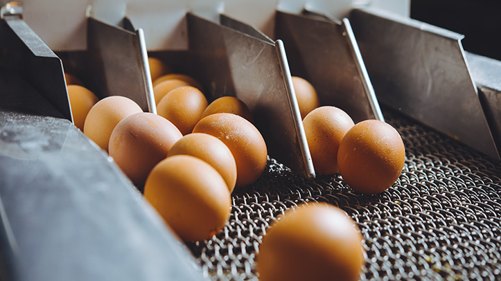 US egg production down 1% in March