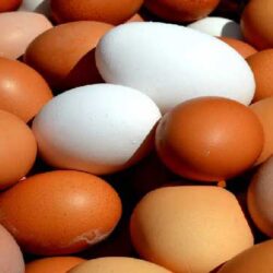 معاون وزیر جهادکشاورزی گفت: بایستی بر روی اصلاح قیمت مرغ و تخم مرغ اقدامات کارشناسی انجام و پس از آن قیمت‌های تعیین شده در ستاد تنظیم بازار بررسی شود.