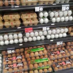 بر اساس آمارهای جهانی در حالی که تخم مرغ در آمریکا رکوردزنی کرده قیمت آن در ایران کمتر از 82 کشور جهان است.