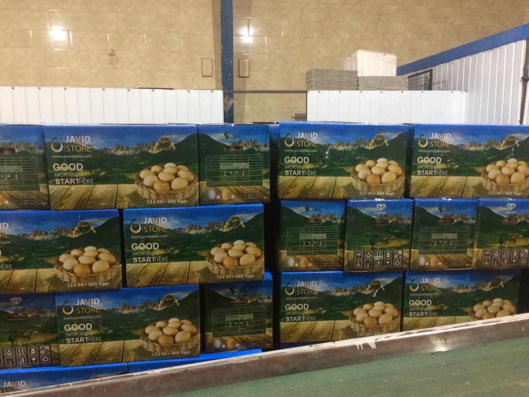 آمادگی برای صادرات مرغ و تخم مرغ از مرز پرویزخان